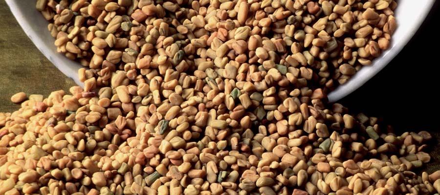 fenugreek for testosterone