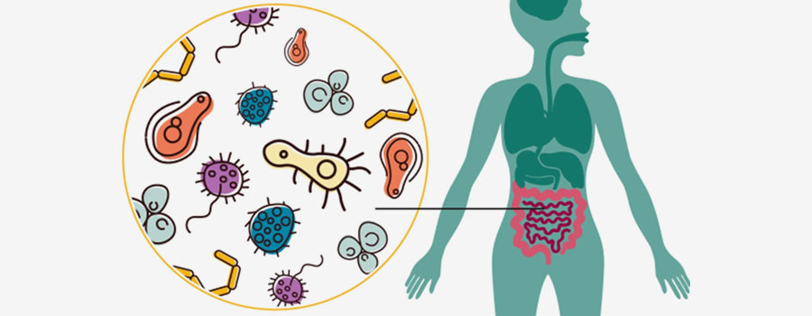 Diseases Linked with Leaky Gut Syndrome
