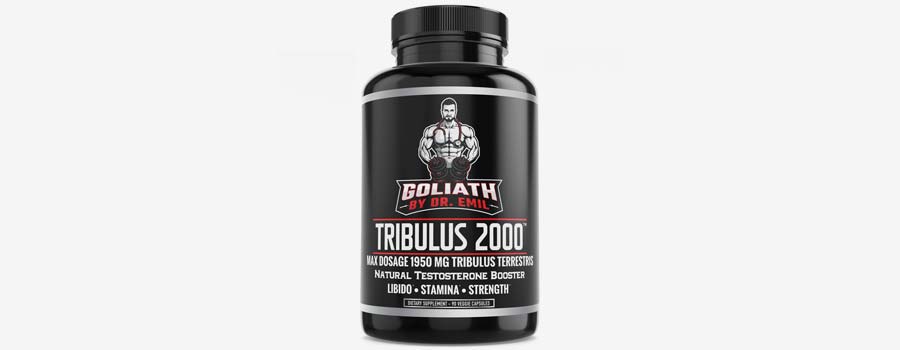 Dr. Emil Nutrition Goliath Concrete Cowboy