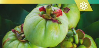 Garcinia Cambogia