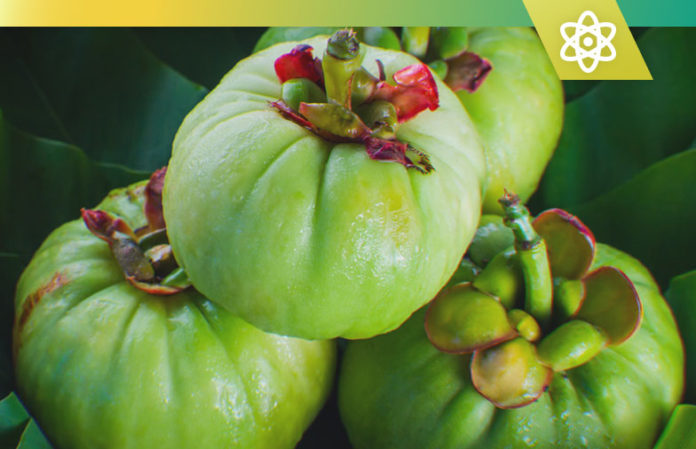 Garcinia Cambogia