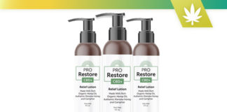 PRO Restore CBD Plus Relief Lotion