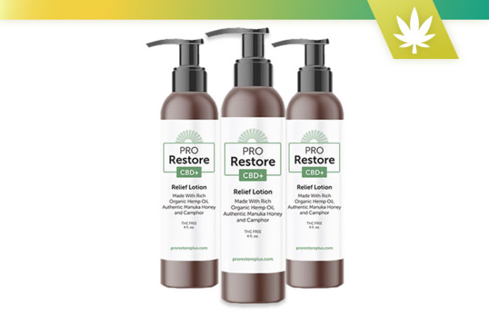 PRO Restore CBD Plus Relief Lotion