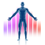 Advanced Living Team