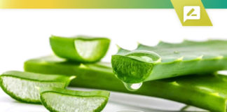 Best Aloe Vera Supplements 2020