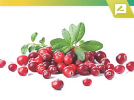 Best Cranberry Extract Supplements