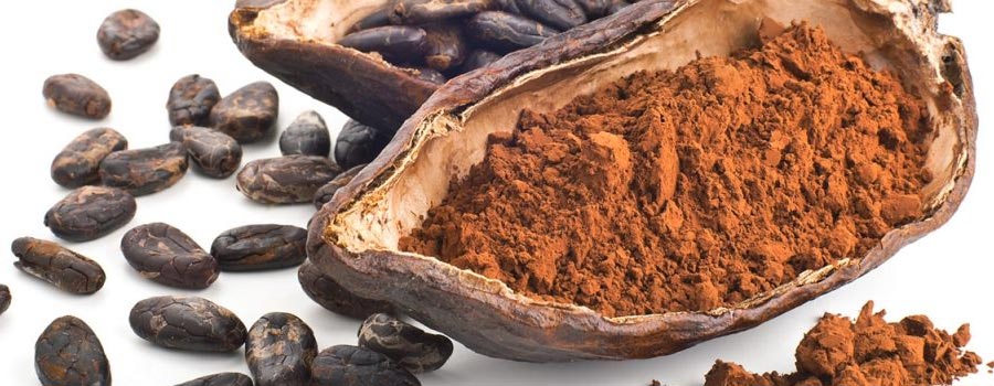 Cocoa flavanols extract