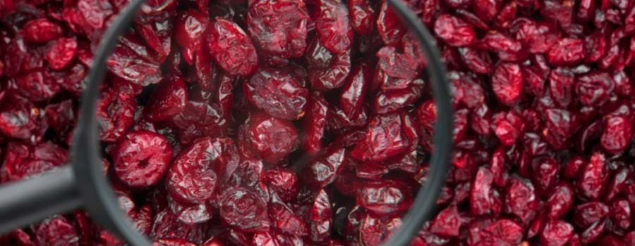 cranberry extract 2