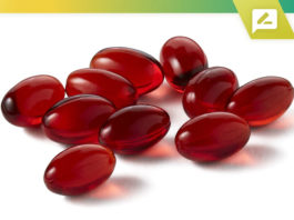 Top 10 Krill Oil Supplements 2020