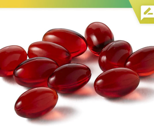 Top 10 Krill Oil Supplements 2020