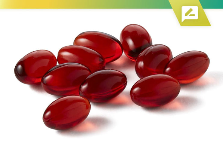 Top 10 Krill Oil Supplements 2020