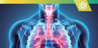 Top Supplements for Lung Health and Breathing