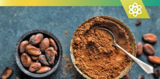 best cocoa flavanols supplements