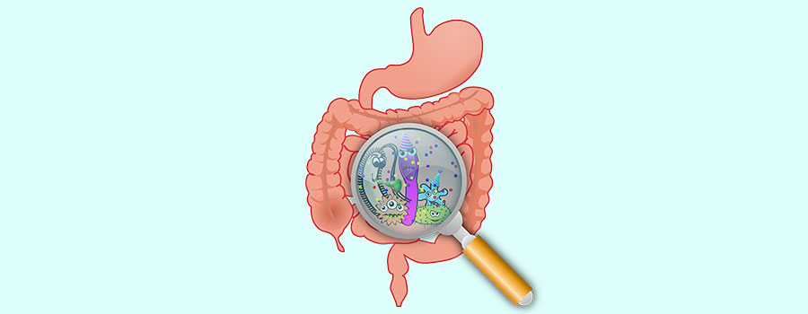 researching leaky gut supplements