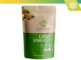 spring of life daily energy