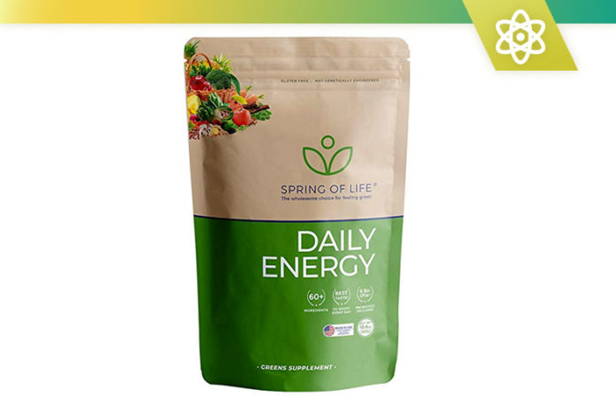 spring of life daily energy