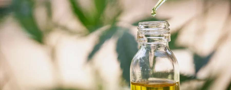 CBD Oil Research