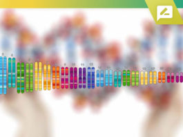 DNA Kit Brands