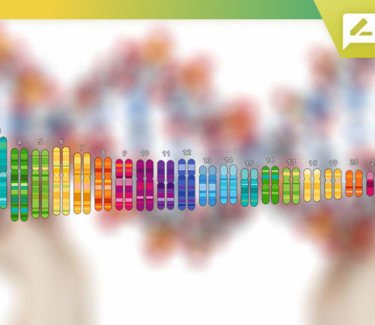 DNA Kit Brands