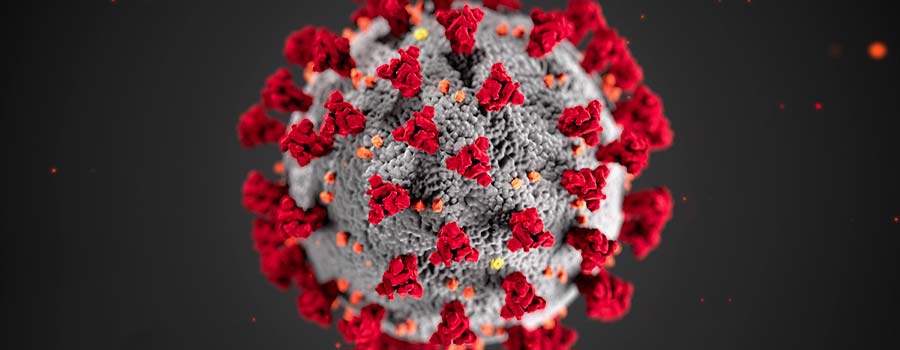 How the Coronavirus Works