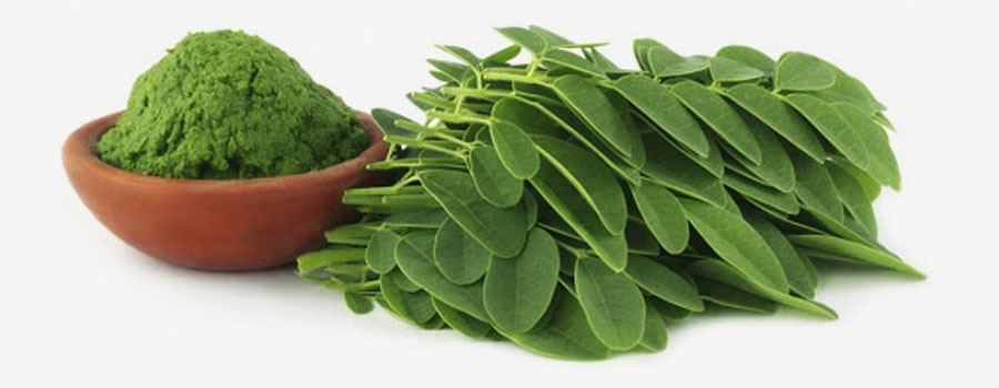  Moringa 