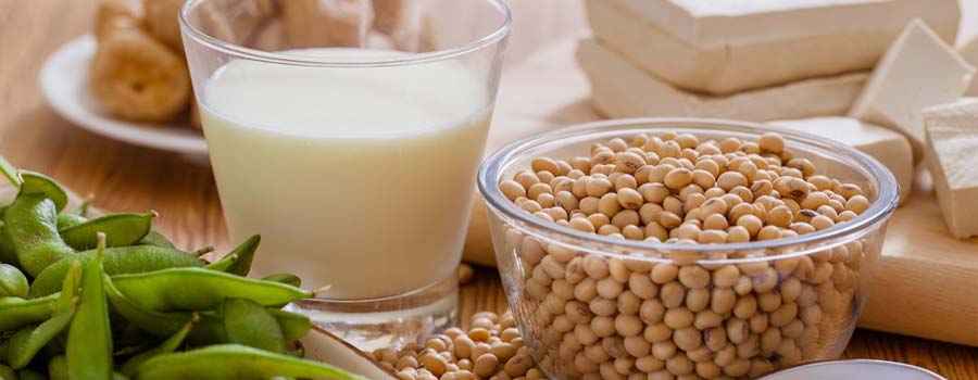 Soy-Based Meal Replacements Are Better Than Milk-Based Ones