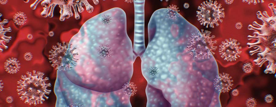 Targets Receptors in the Lungs