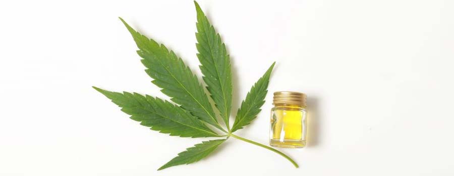 Whole Plant and isolated CBD Oil