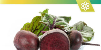 best beet supplements