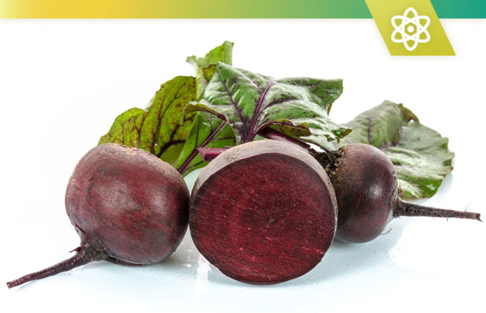 best beet supplements