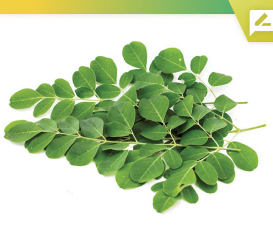 moringa health benefits