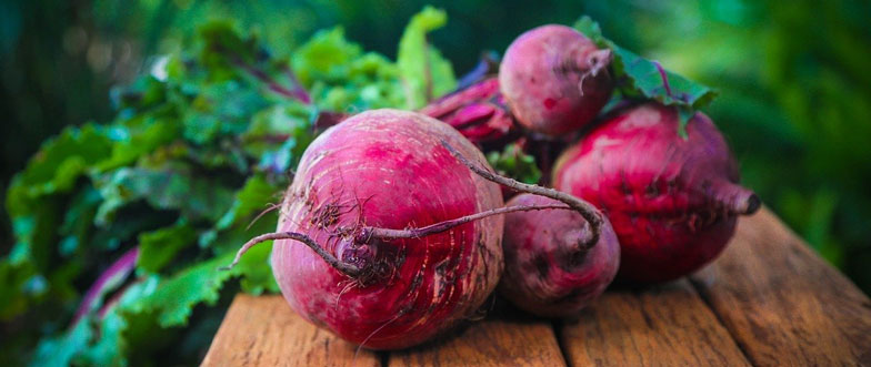 top-beet-supplements