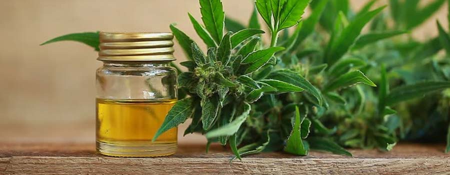 what exactly is cbd oil