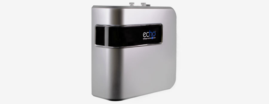 Echo H2 Server