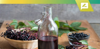 Elderberry Syrup