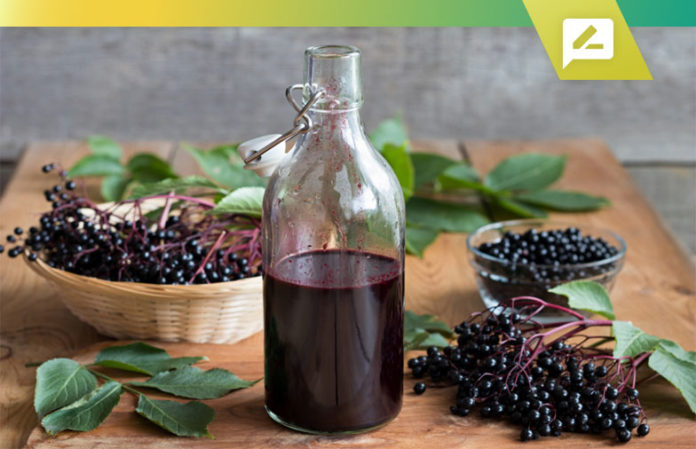 Elderberry Syrup