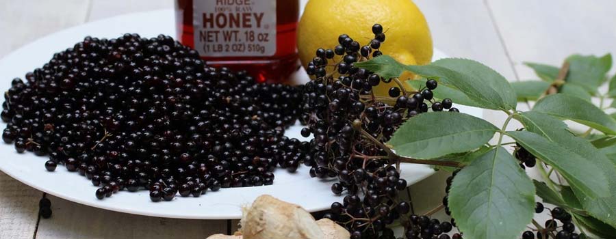 Who Should Use Elderberry Syrup?
