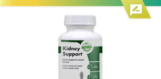 kidney support