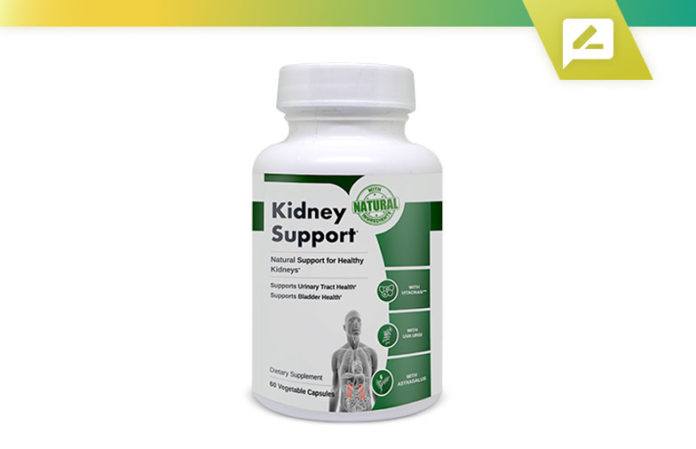 kidney support
