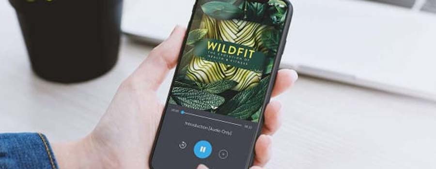 How Does WildFit Work?
