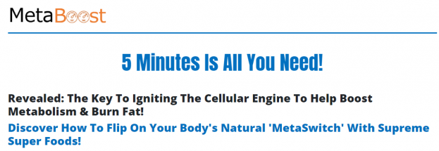 MetaBoost Connection: Reviewing Meredith Shirk\u0026#39;s Fat Flush Belly Blaster