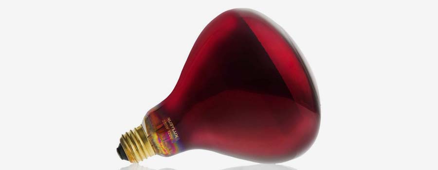 RubyLux NIR-A Near Infrared Bulb Grade A