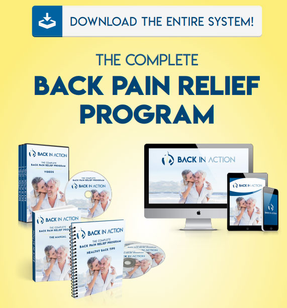 download Back In Action System PDF 