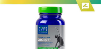 Foundation Digest