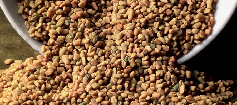 Get More Fenugreek