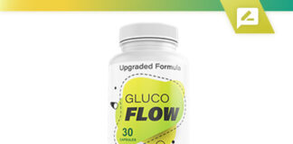 GlucoFlow