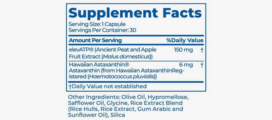 High Impact Endurance Ingredients