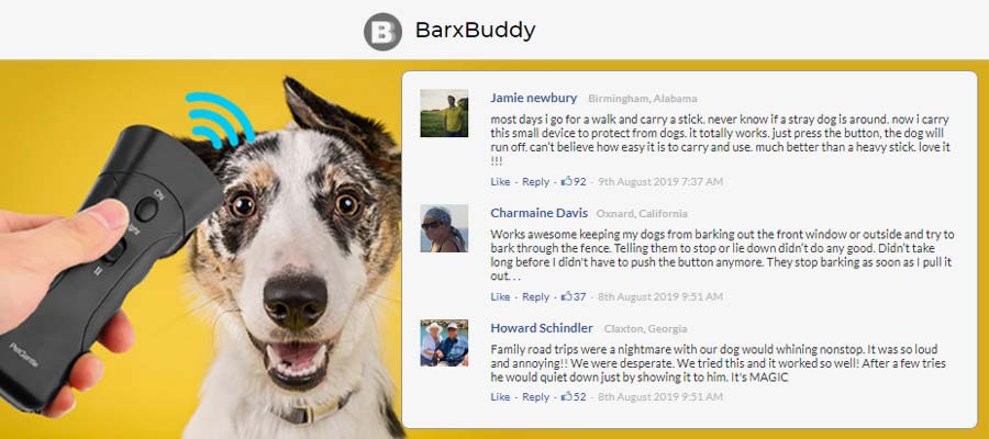 How to Use BarxBuddy?