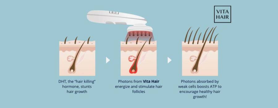 Scientific Evidence for Vita Hair Brush