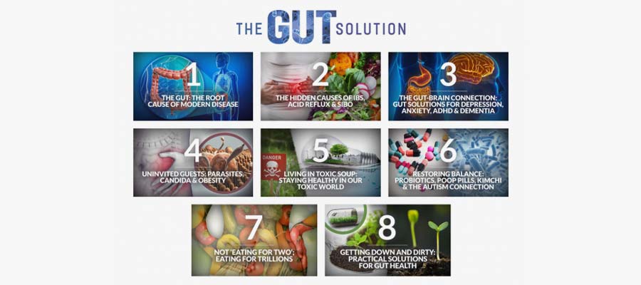 Topics Covered The Gut Solution